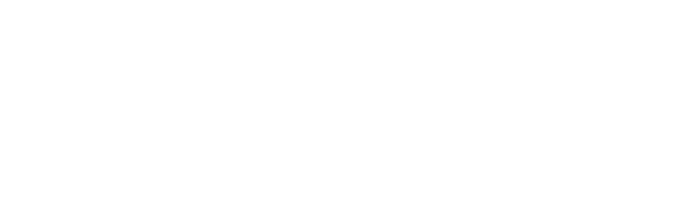 كيوريوكيدز مصر